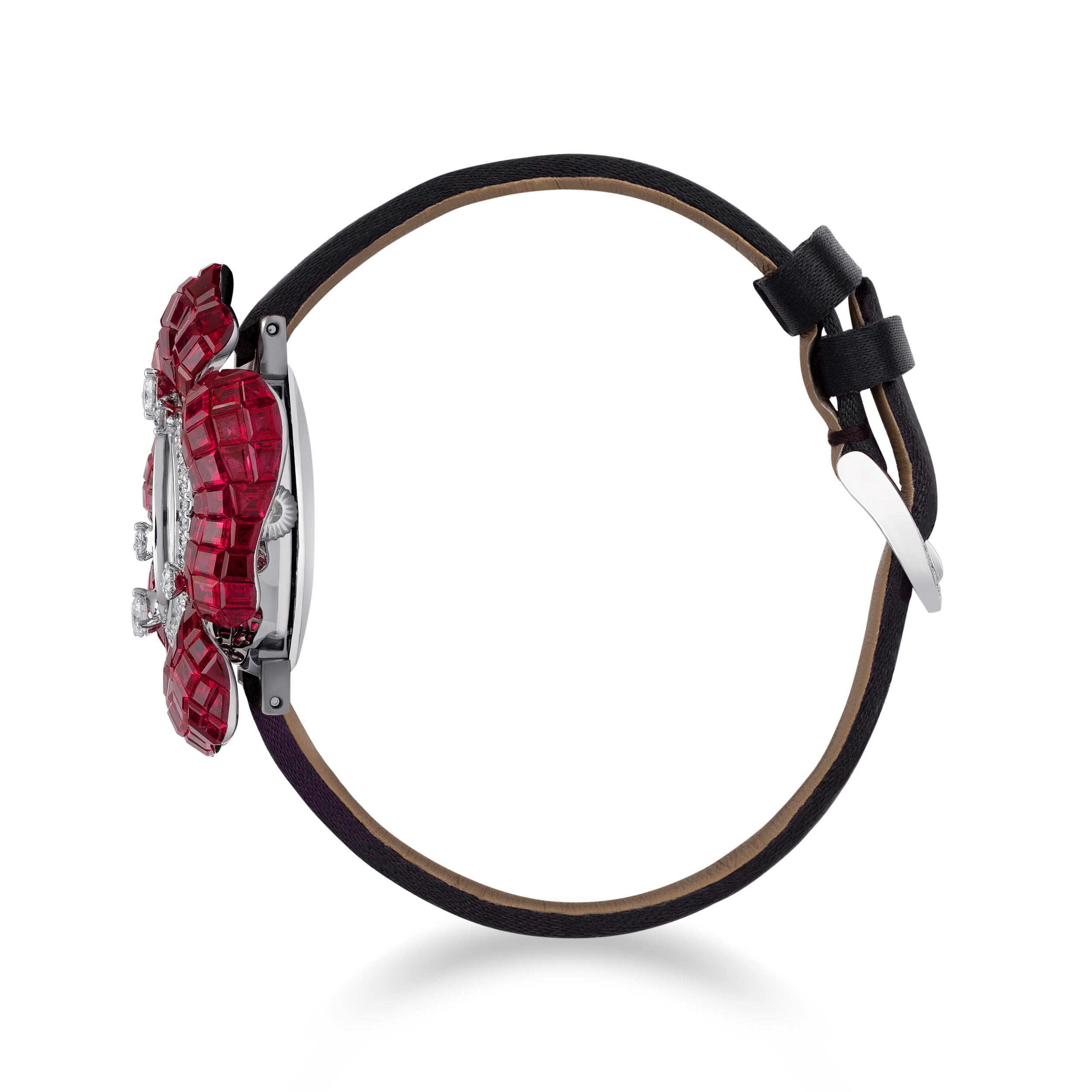 مراقبة شروق الشمس