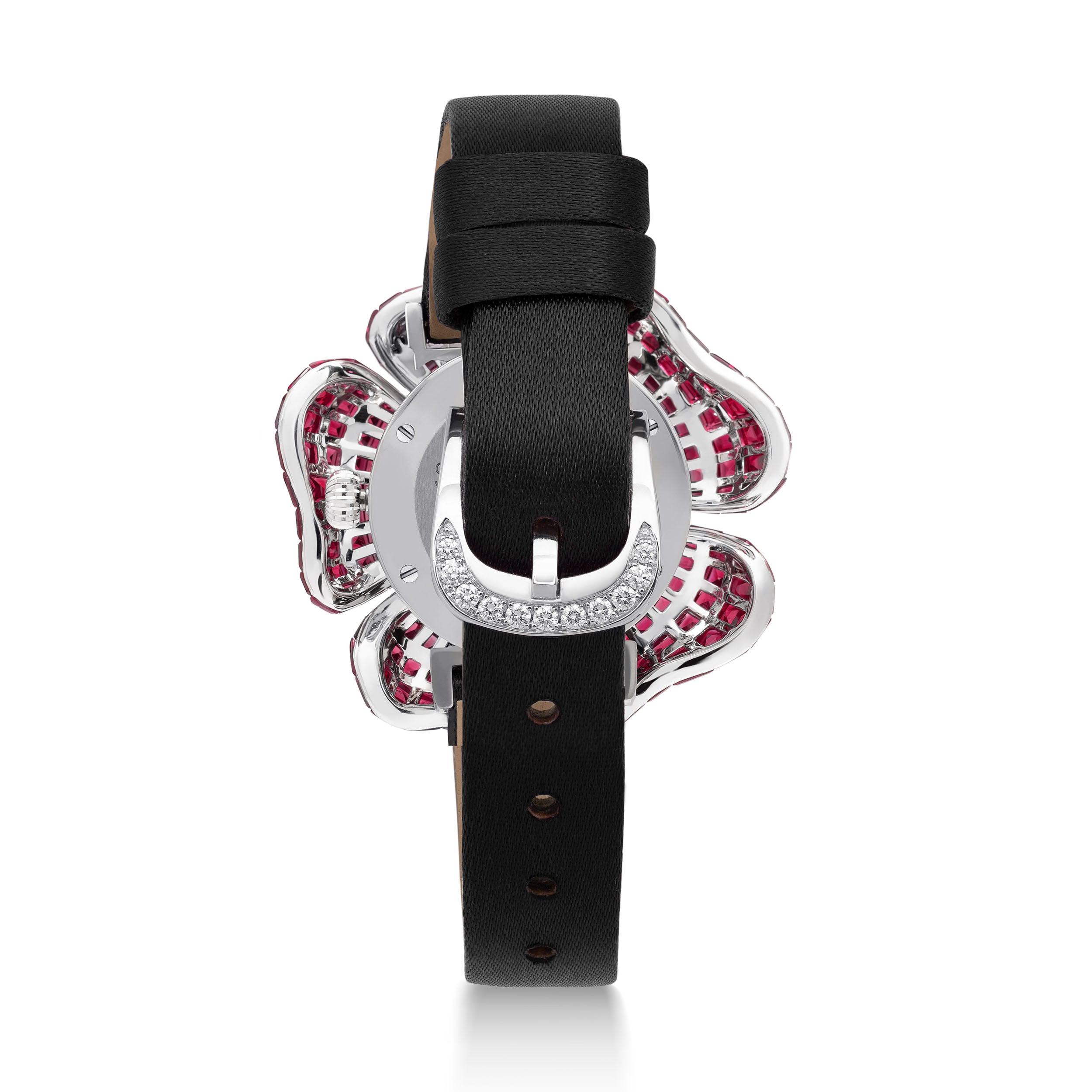 مراقبة شروق الشمس