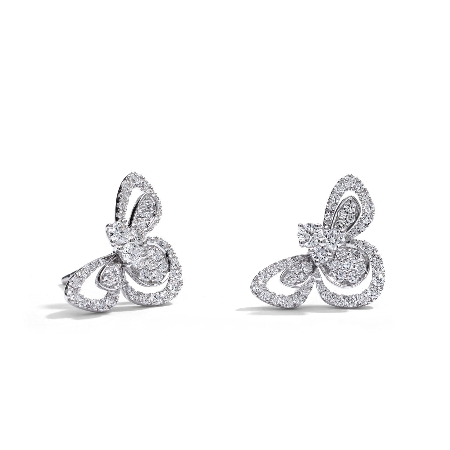 أقراط النحل مع وصلة